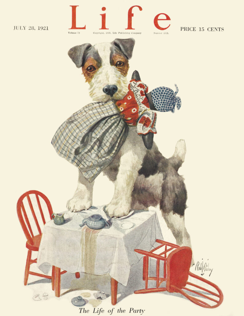 vintage life magazine - terrier