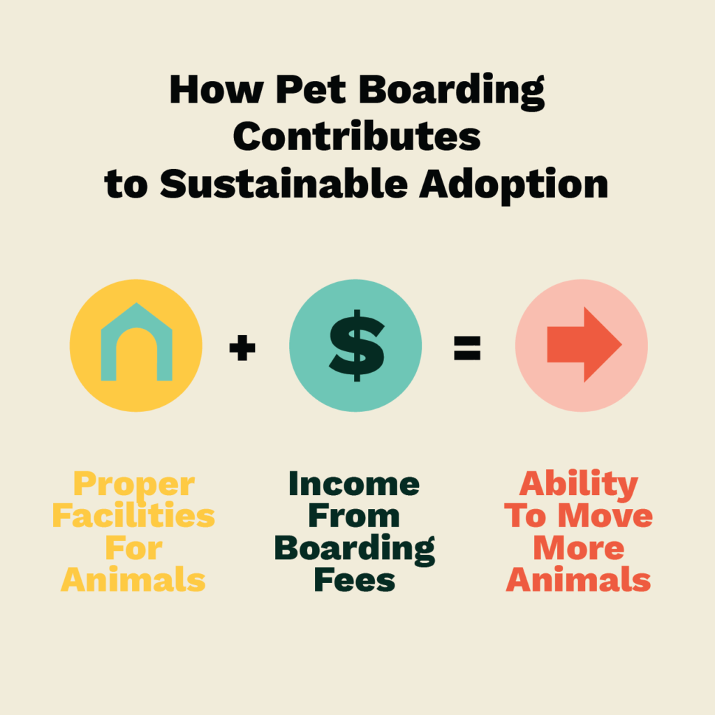 pet boarding infographic